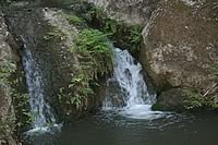 Butterfly Valley (Petaloudes)