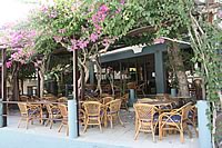 Haraki - taverna / shady bar..